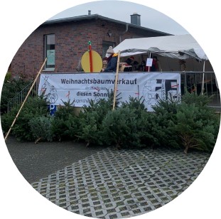 Weihnachtsbaumverkauf